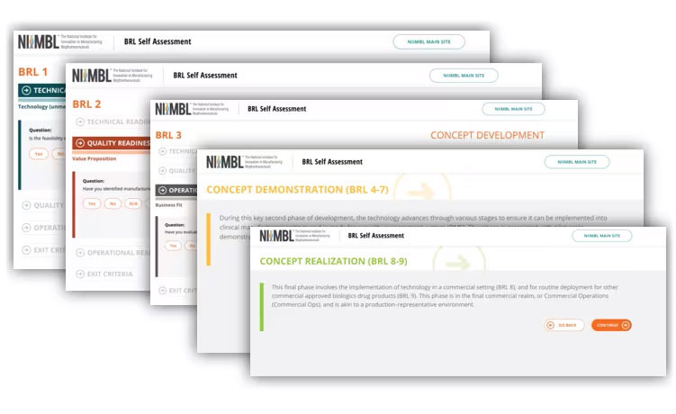 Sample pages from the BRL Assessment Tool website