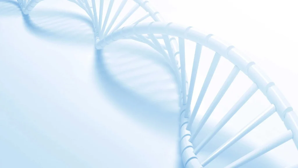 DNA strand