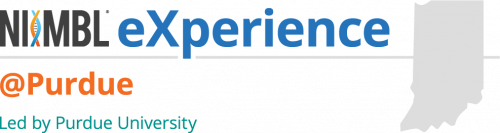 Niimbl Experience Niimbl